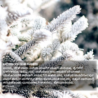 ಆದಿಕಾಂಡ 24:48 KANIRV Bible Verse Image