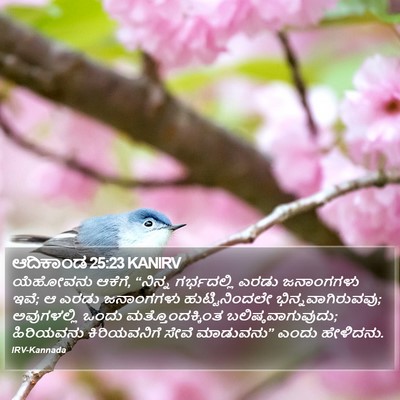 ಆದಿಕಾಂಡ 25:23 KANIRV Bible Verse Image