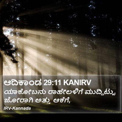 ಆದಿಕಾಂಡ 29:11 KANIRV Bible Verse Image
