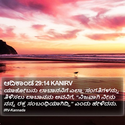 ಆದಿಕಾಂಡ 29:14 KANIRV Bible Verse Image