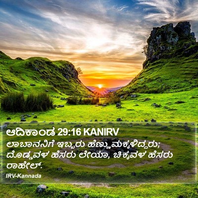 ಆದಿಕಾಂಡ 29:16 KANIRV Bible Verse Image