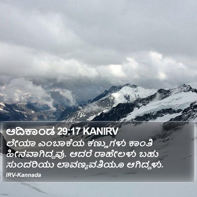 ಆದಿಕಾಂಡ 29:17 KANIRV Bible Verse Image