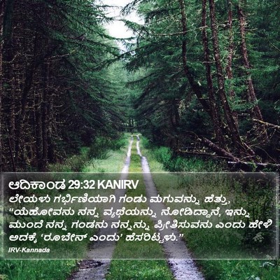 ಆದಿಕಾಂಡ 29:32 KANIRV Bible Verse Image
