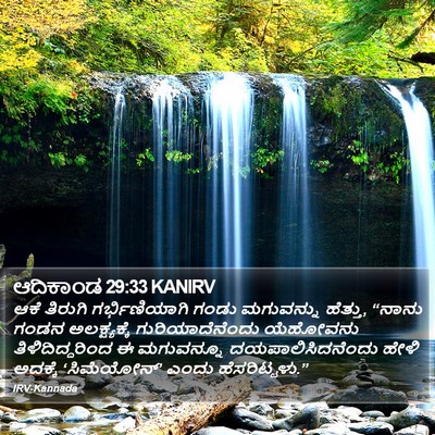 ಆದಿಕಾಂಡ 29:33 KANIRV Bible Verse Image