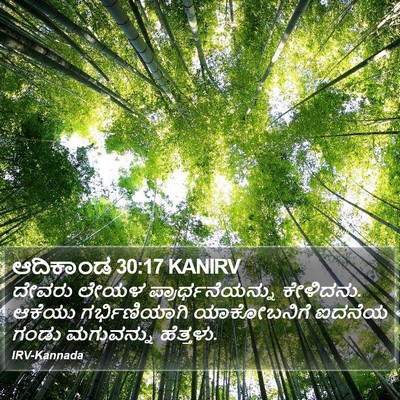 ಆದಿಕಾಂಡ 30:17 KANIRV Bible Verse Image