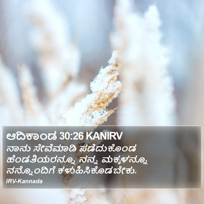 ಆದಿಕಾಂಡ 30:26 KANIRV Bible Verse Image