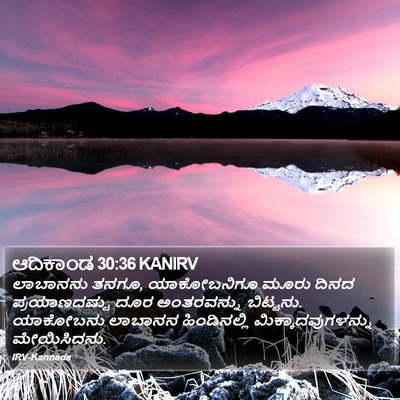 ಆದಿಕಾಂಡ 30:36 KANIRV Bible Verse Image