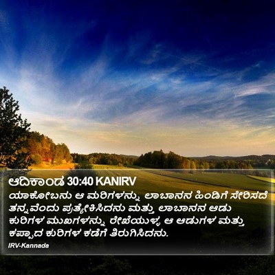 ಆದಿಕಾಂಡ 30:40 KANIRV Bible Verse Image