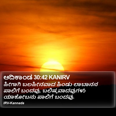 ಆದಿಕಾಂಡ 30:42 KANIRV Bible Verse Image