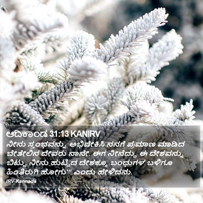 ಆದಿಕಾಂಡ 31:13 KANIRV Bible Verse Image
