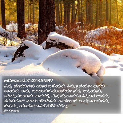 ಆದಿಕಾಂಡ 31:32 KANIRV Bible Verse Image