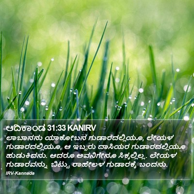 ಆದಿಕಾಂಡ 31:33 KANIRV Bible Verse Image