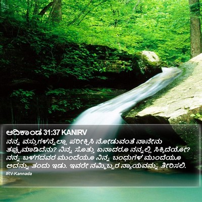 ಆದಿಕಾಂಡ 31:37 KANIRV Bible Verse Image