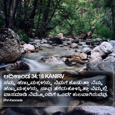 ಆದಿಕಾಂಡ 34:16 KANIRV Bible Verse Image