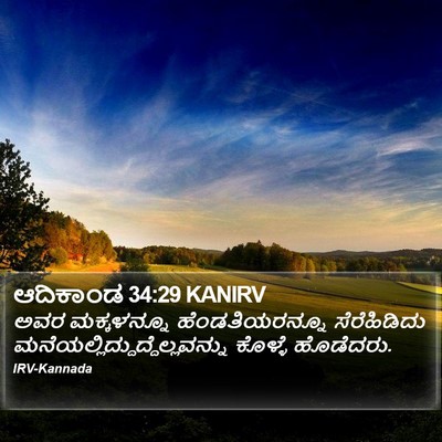 ಆದಿಕಾಂಡ 34:29 KANIRV Bible Verse Image