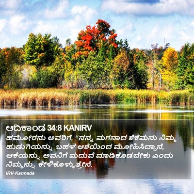 ಆದಿಕಾಂಡ 34:8 KANIRV Bible Verse Image