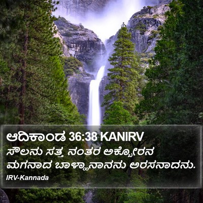 ಆದಿಕಾಂಡ 36:38 KANIRV Bible Verse Image