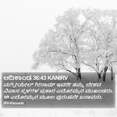 ಆದಿಕಾಂಡ 36:43 KANIRV Bible Verse Image