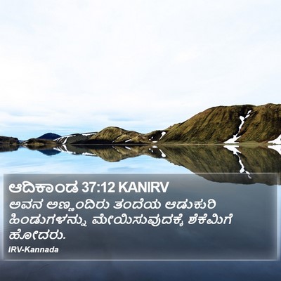 ಆದಿಕಾಂಡ 37:12 KANIRV Bible Verse Image