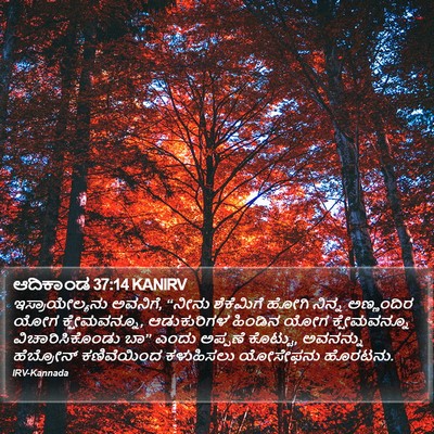 ಆದಿಕಾಂಡ 37:14 KANIRV Bible Verse Image