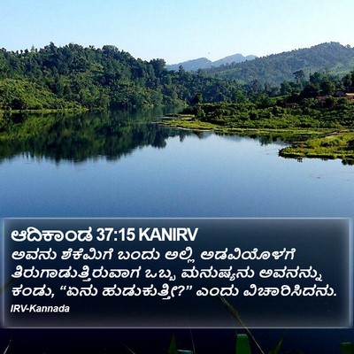 ಆದಿಕಾಂಡ 37:15 KANIRV Bible Verse Image