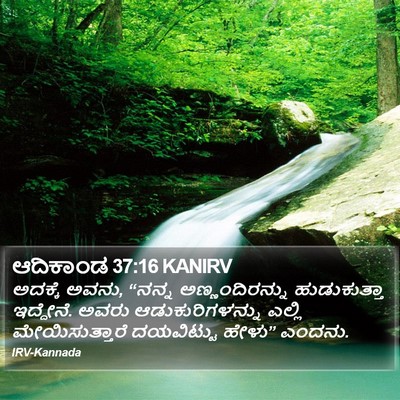 ಆದಿಕಾಂಡ 37:16 KANIRV Bible Verse Image