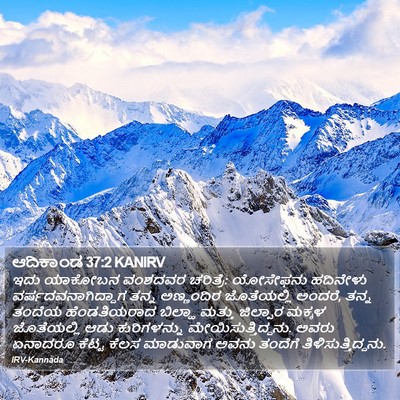 ಆದಿಕಾಂಡ 37:2 KANIRV Bible Verse Image