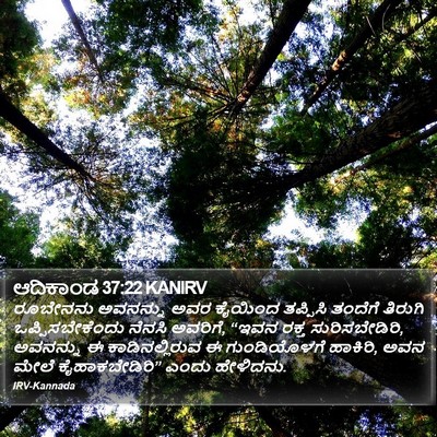 ಆದಿಕಾಂಡ 37:22 KANIRV Bible Verse Image