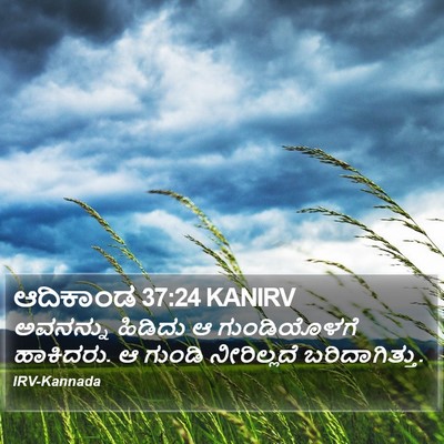 ಆದಿಕಾಂಡ 37:24 KANIRV Bible Verse Image