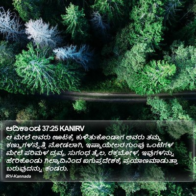 ಆದಿಕಾಂಡ 37:25 KANIRV Bible Verse Image