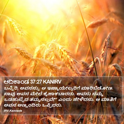 ಆದಿಕಾಂಡ 37:27 KANIRV Bible Verse Image