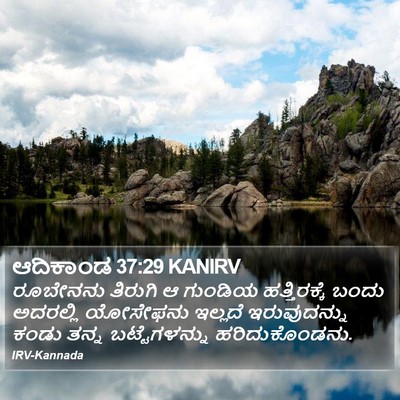 ಆದಿಕಾಂಡ 37:29 KANIRV Bible Verse Image