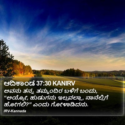 ಆದಿಕಾಂಡ 37:30 KANIRV Bible Verse Image