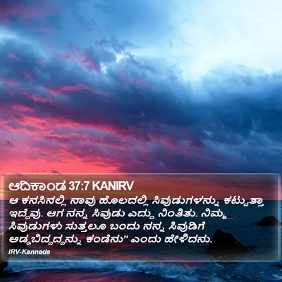 ಆದಿಕಾಂಡ 37:7 KANIRV Bible Verse Image