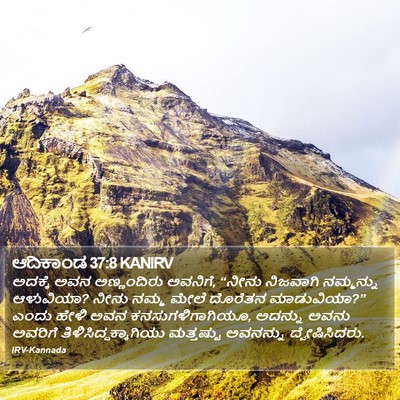 ಆದಿಕಾಂಡ 37:8 KANIRV Bible Verse Image