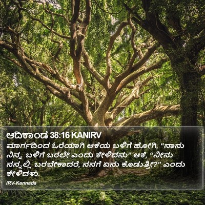 ಆದಿಕಾಂಡ 38:16 KANIRV Bible Verse Image
