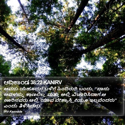 ಆದಿಕಾಂಡ 38:22 KANIRV Bible Verse Image