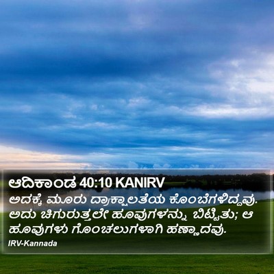 ಆದಿಕಾಂಡ 40:10 KANIRV Bible Verse Image
