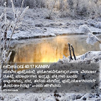 ಆದಿಕಾಂಡ 40:17 KANIRV Bible Verse Image