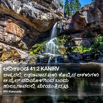 ಆದಿಕಾಂಡ 41:2 KANIRV Bible Verse Image