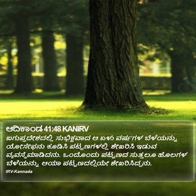 ಆದಿಕಾಂಡ 41:48 KANIRV Bible Verse Image