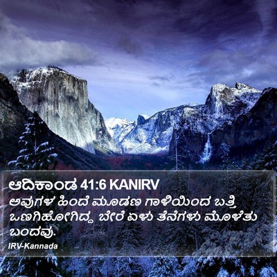 ಆದಿಕಾಂಡ 41:6 KANIRV Bible Verse Image