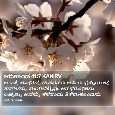 ಆದಿಕಾಂಡ 41:7 KANIRV Bible Verse Image