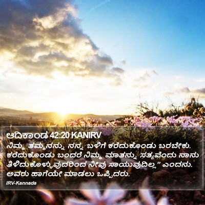 ಆದಿಕಾಂಡ 42:20 KANIRV Bible Verse Image