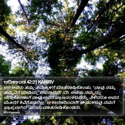 ಆದಿಕಾಂಡ 42:21 KANIRV Bible Verse Image