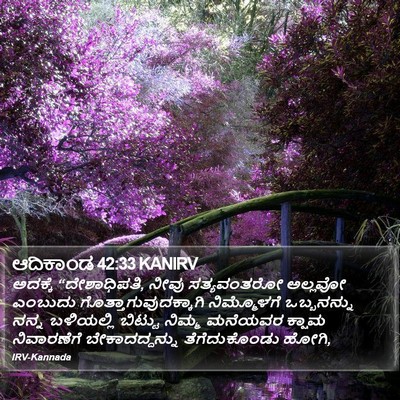 ಆದಿಕಾಂಡ 42:33 KANIRV Bible Verse Image