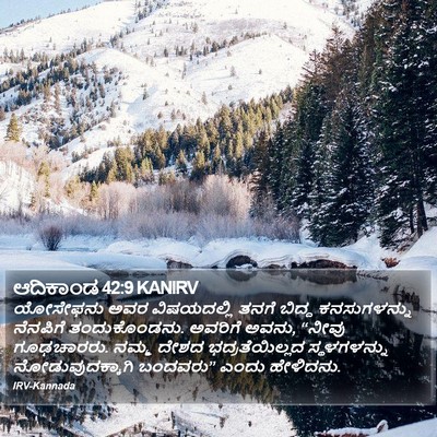 ಆದಿಕಾಂಡ 42:9 KANIRV Bible Verse Image