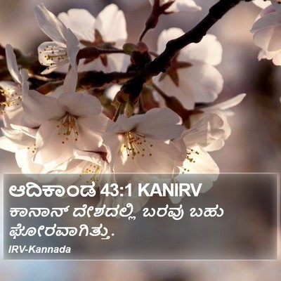 ಆದಿಕಾಂಡ 43:1 KANIRV Bible Verse Image