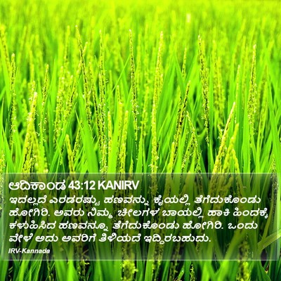 ಆದಿಕಾಂಡ 43:12 KANIRV Bible Verse Image