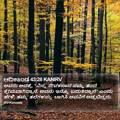 ಆದಿಕಾಂಡ 43:28 KANIRV Bible Verse Image